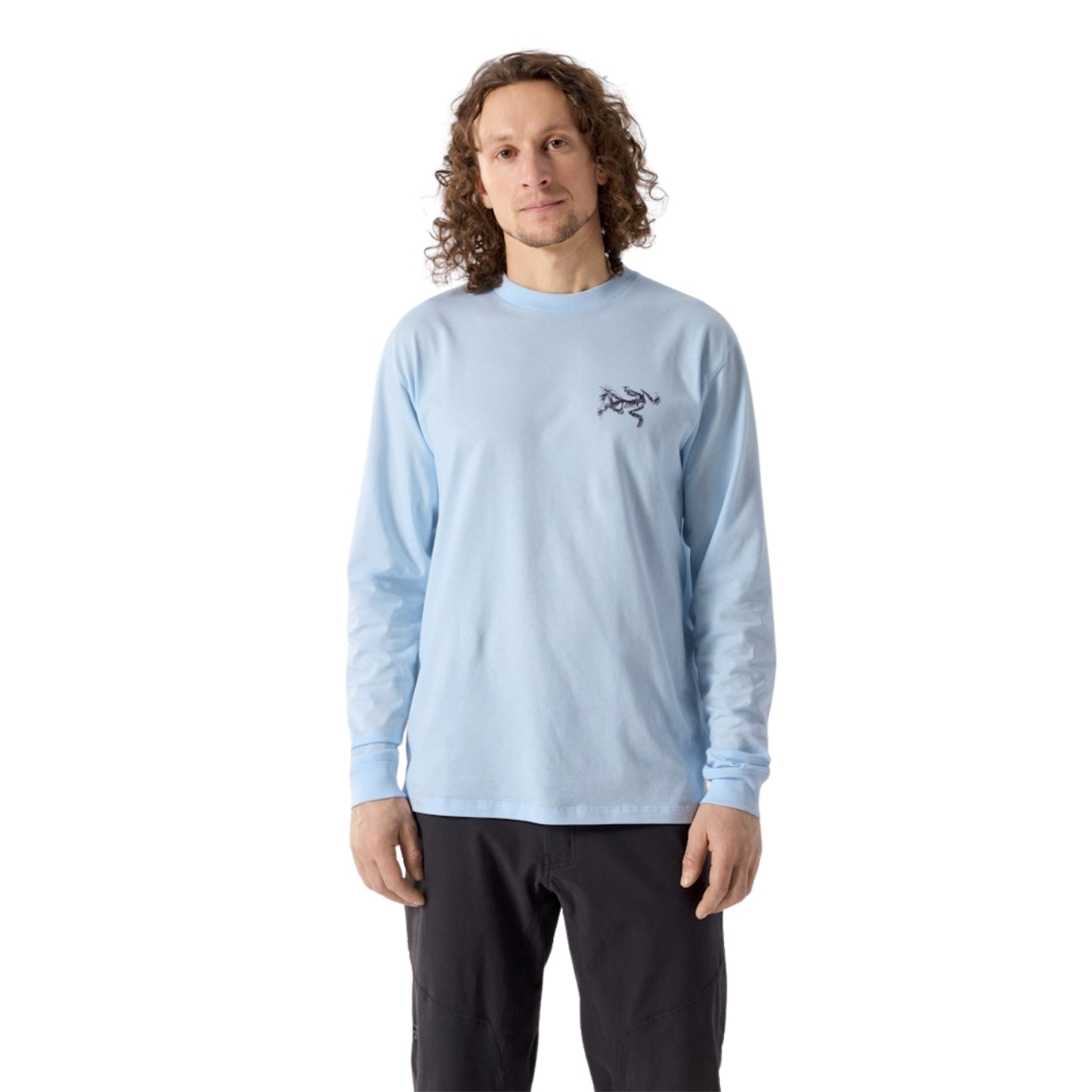 Arcteryx Mens Kragg SL Cotton Bird Tile LS