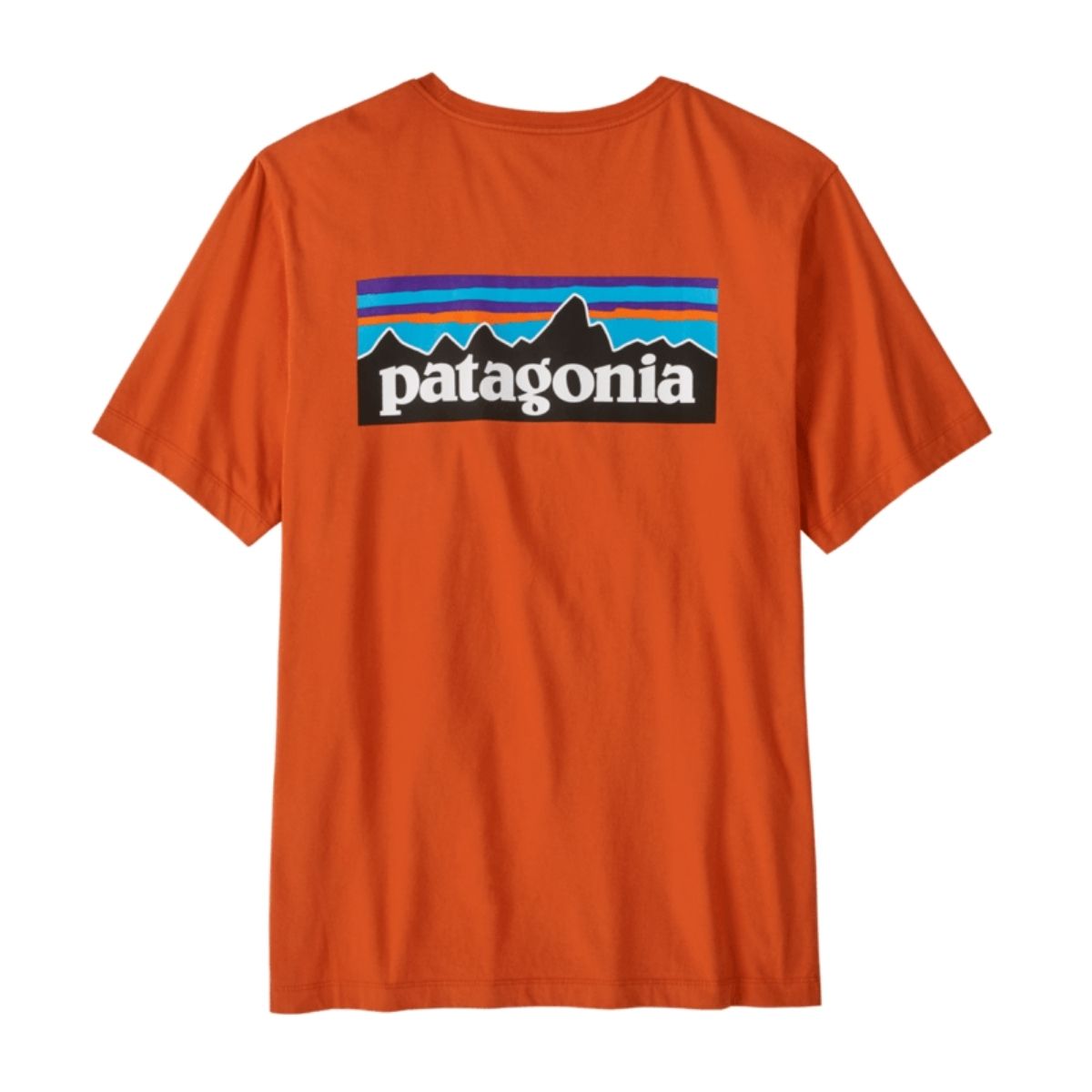 Patagonia Mens P/6 Logo T/Shirt