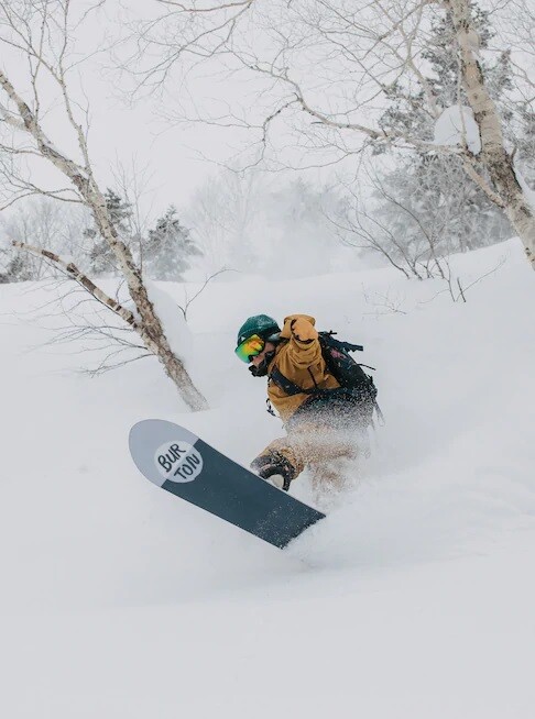 Burton Day Trader 2020 Burton Day Trader 2020