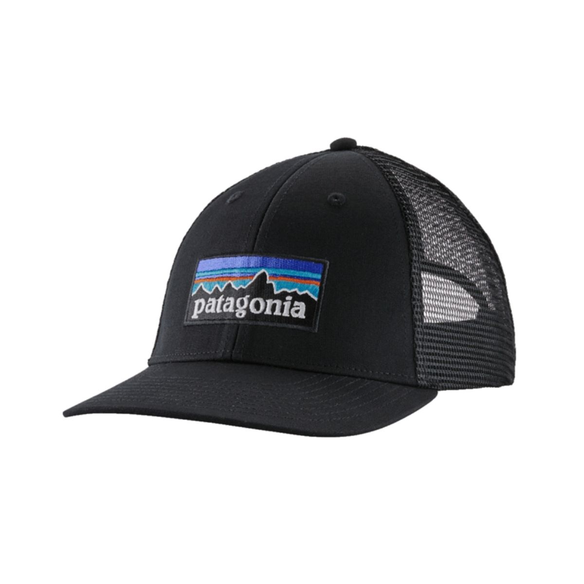 Patagonia P_6 Logo LoPro Trucker Hat