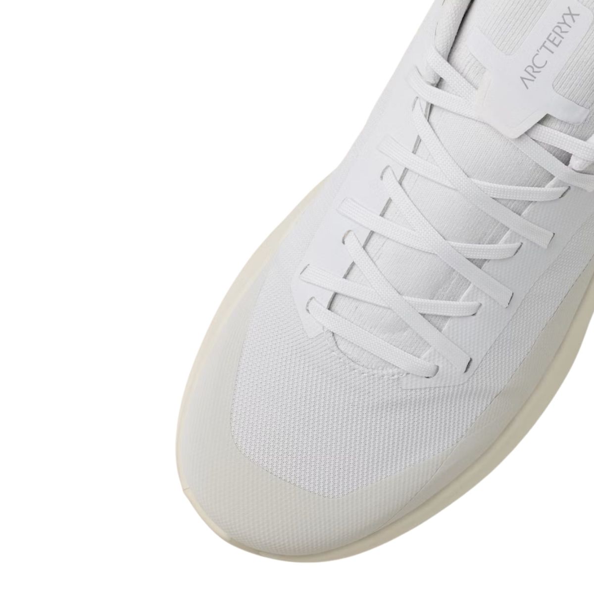 ArcTeryx Mens Norvan LD 4