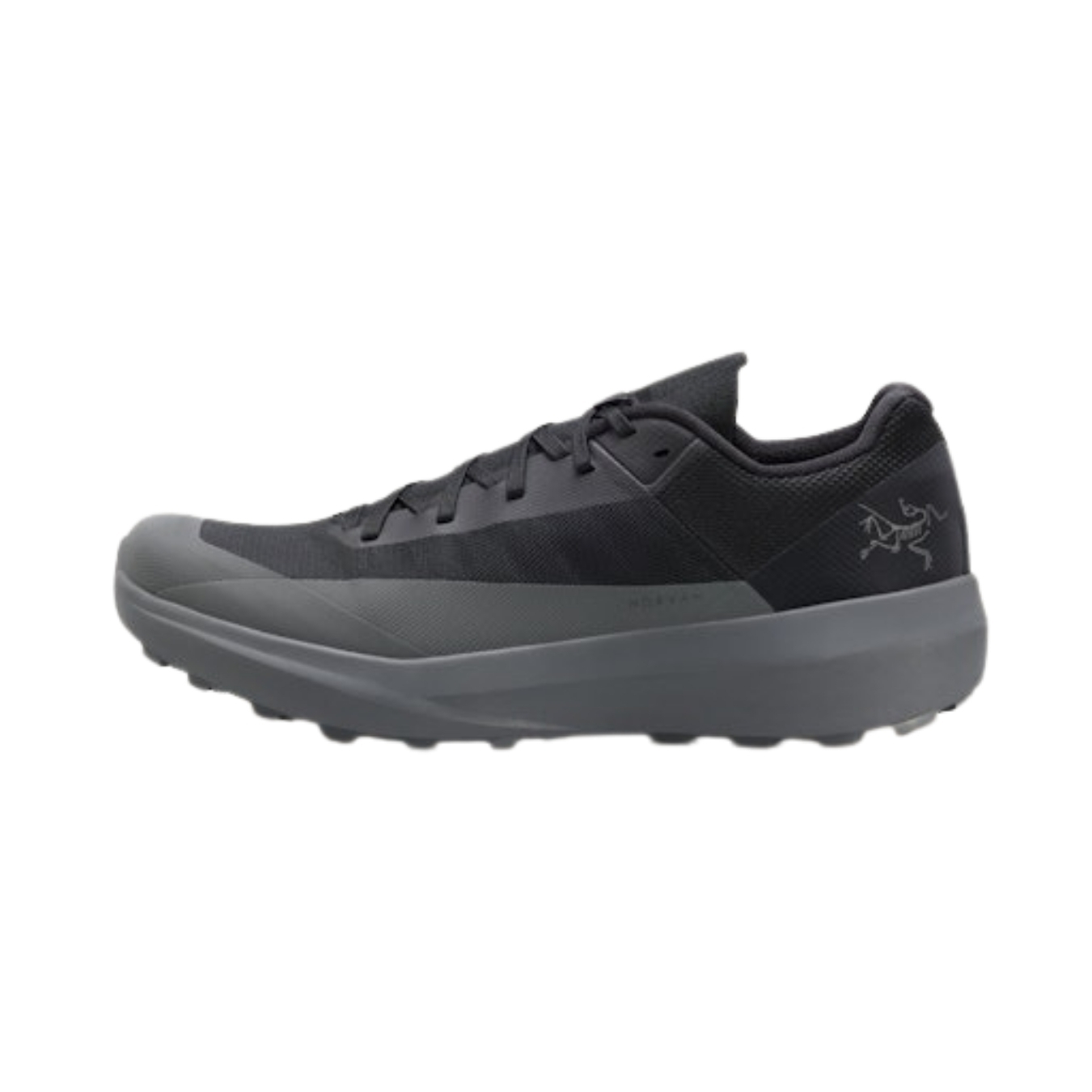 ArcTeryx Mens Norvan LD 4