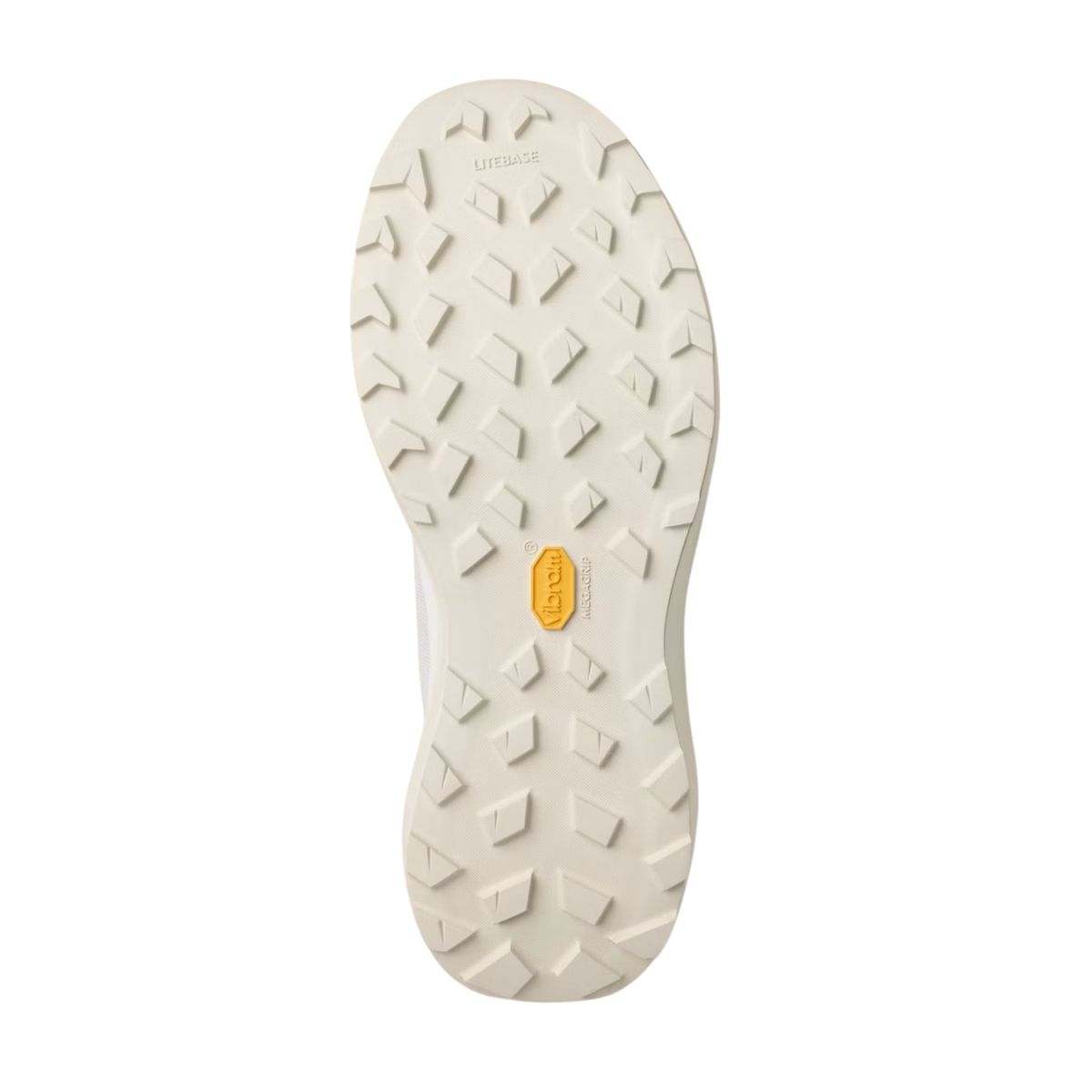ArcTeryx Mens Norvan LD 4