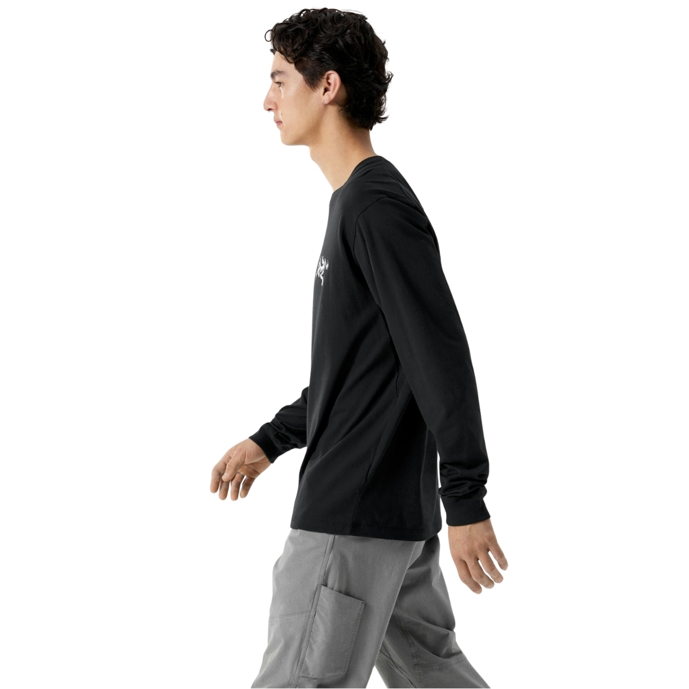 Arcteryx Mens Kragg SL Cotton Bird Tile LS