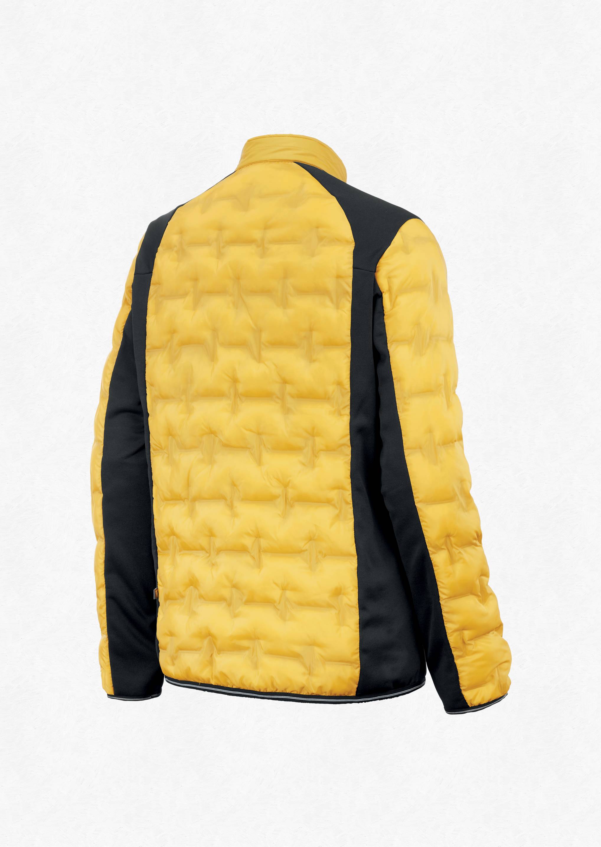 Picture M Horse Jacket 2021 Picture M Horse Jacket 2021