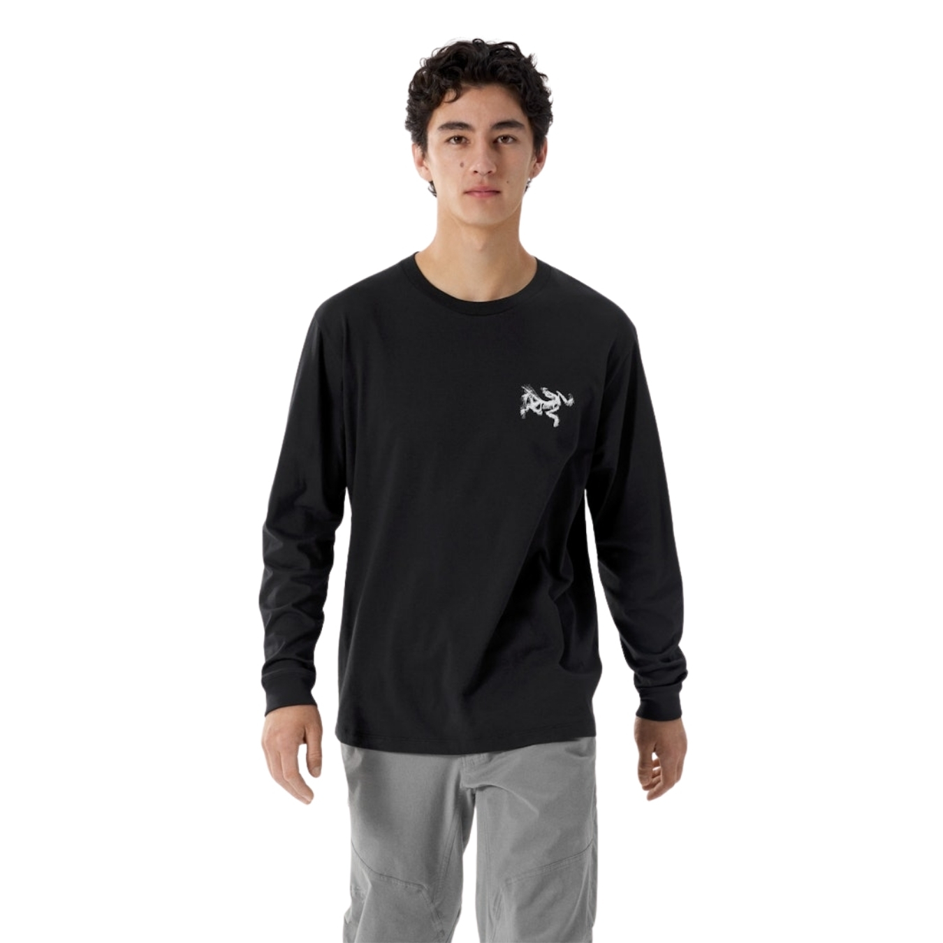 Arcteryx Mens Kragg SL Cotton Bird Tile LS