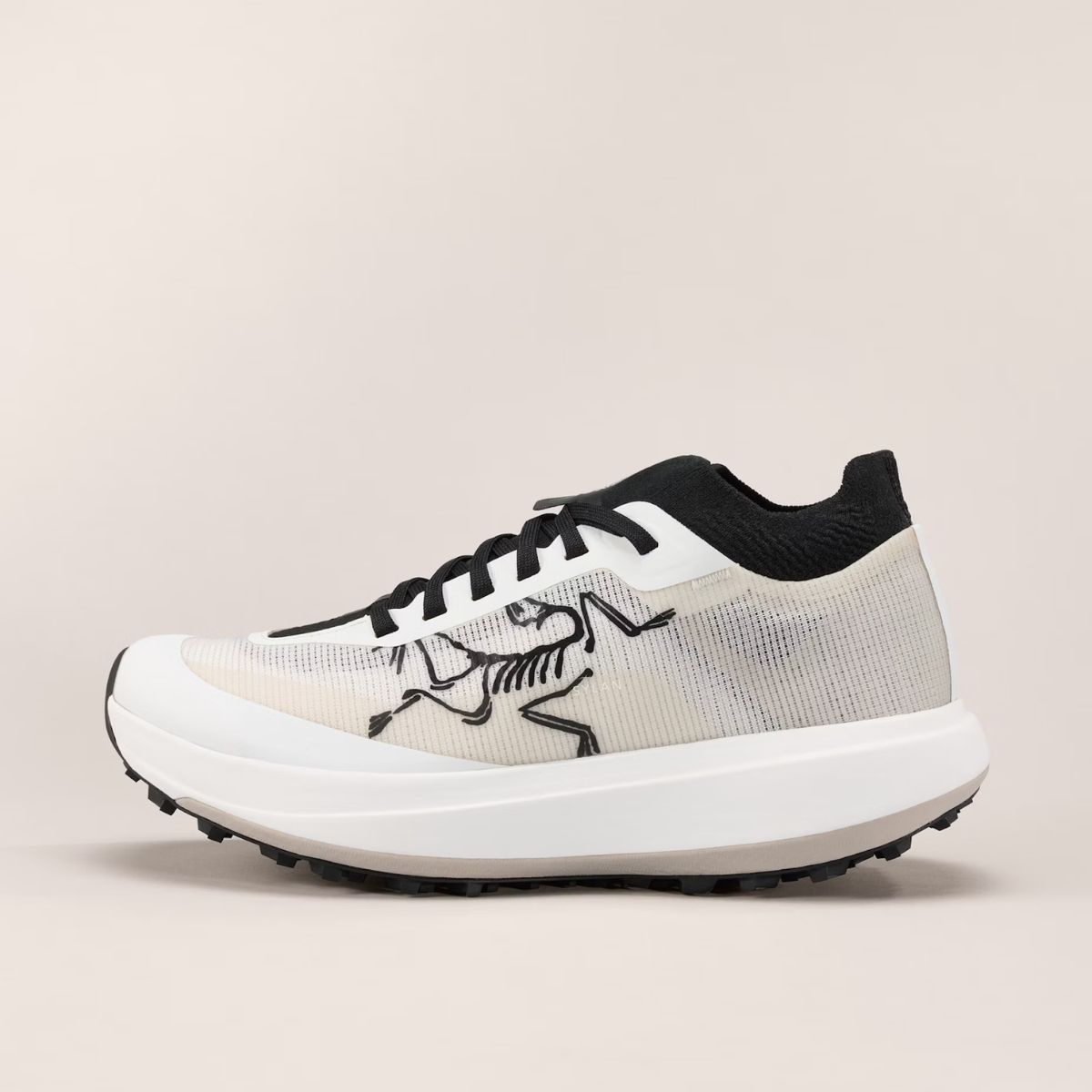 Arcteryx Mens Sylan Pro
