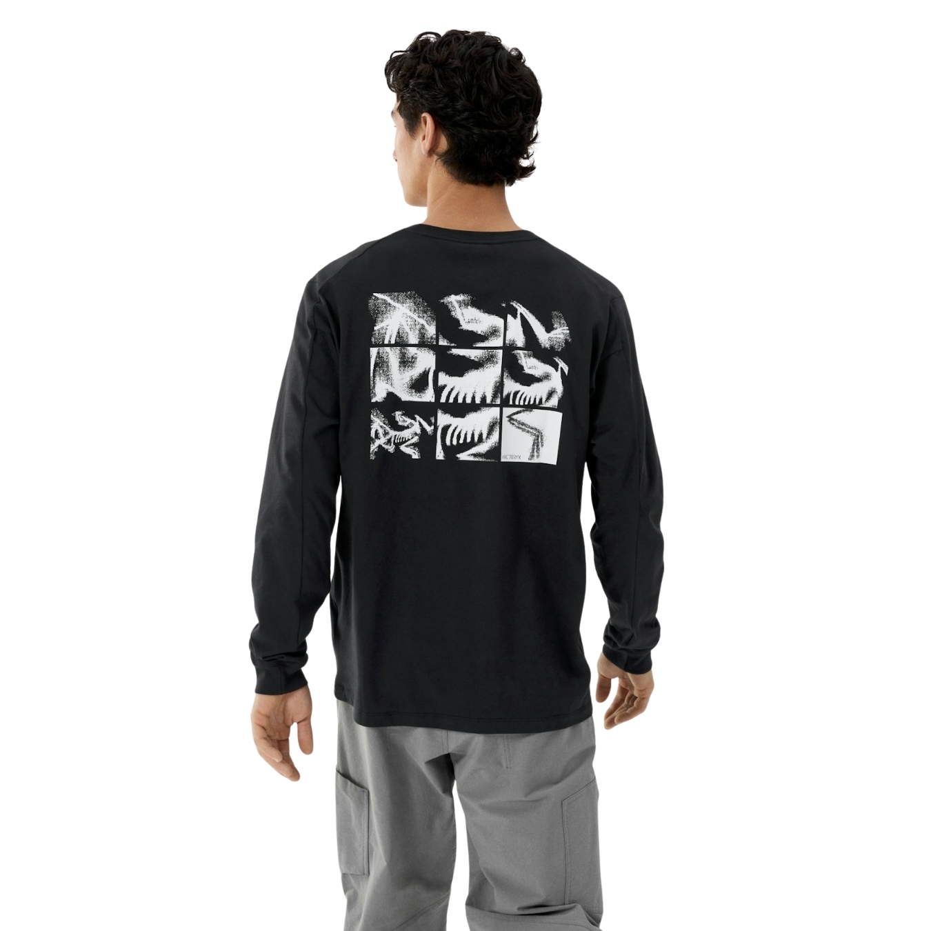 Arcteryx Mens Kragg SL Cotton Bird Tile LS
