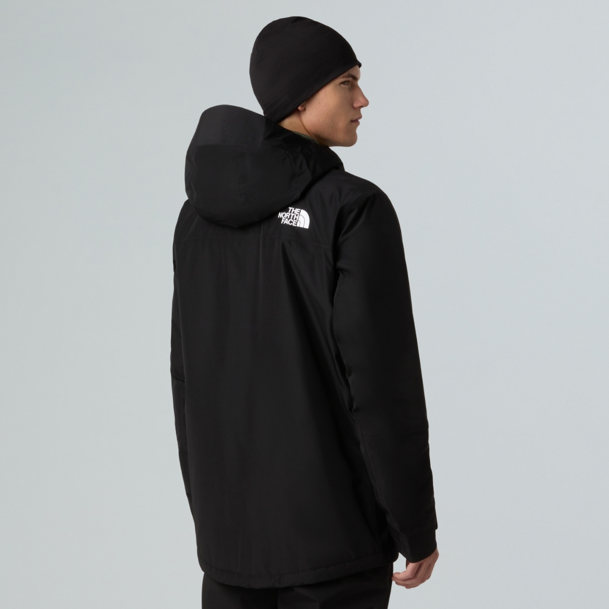 The North Face Mens Descendit Jacket