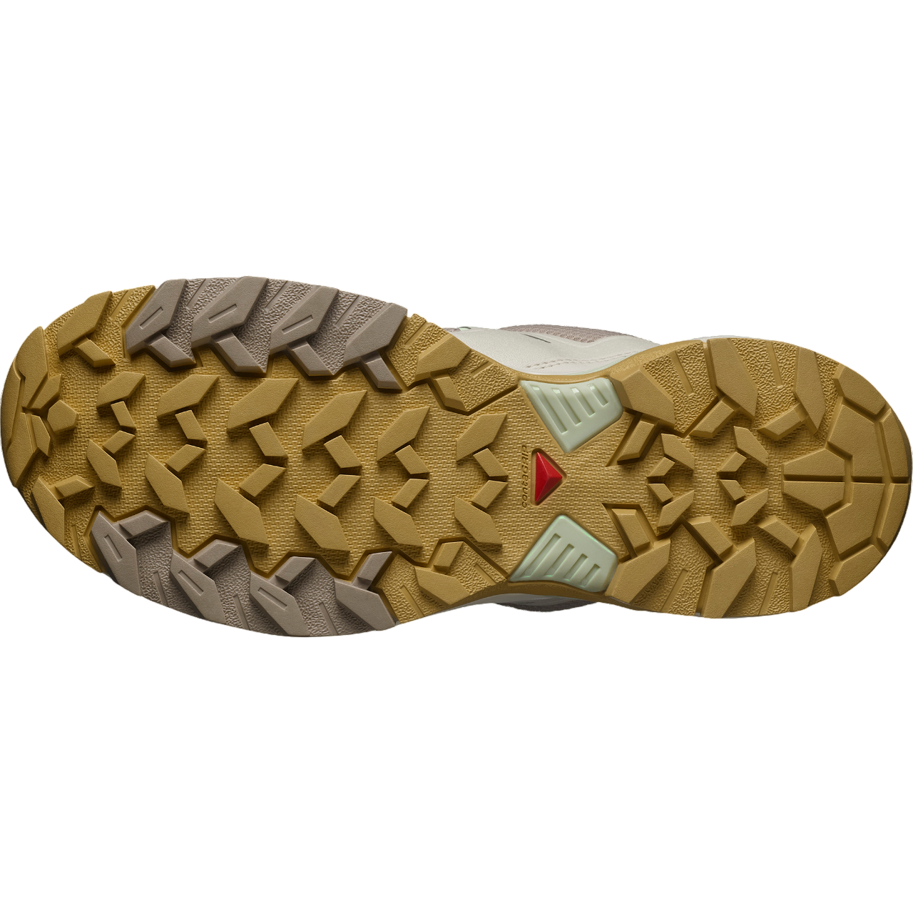 Salomon X Ultra 360 Edge GTX
