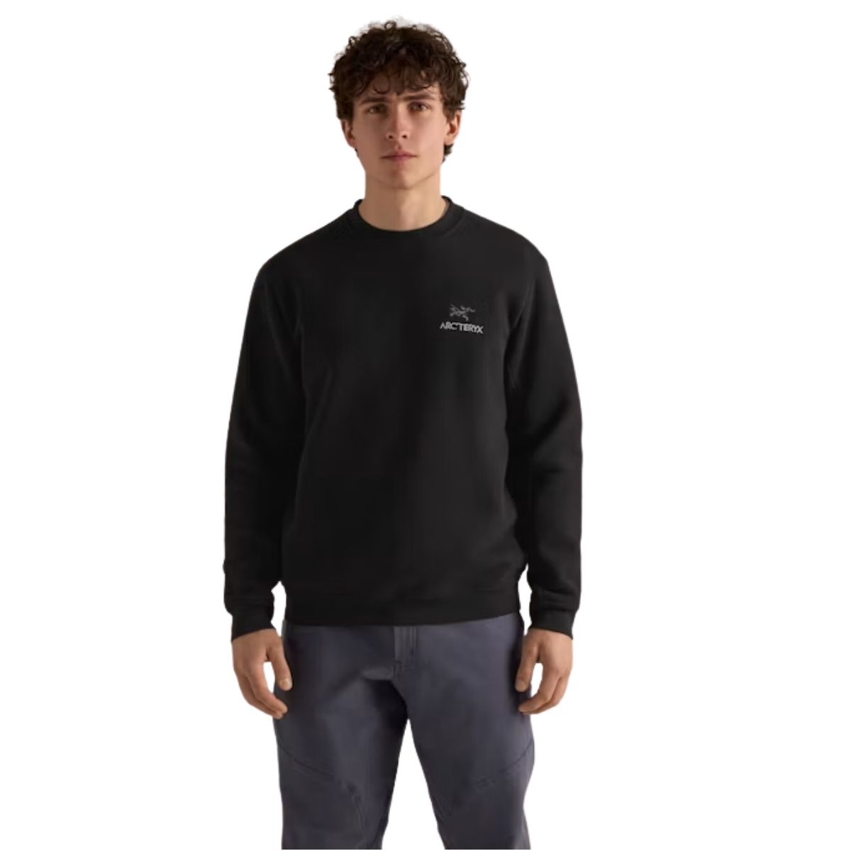 Arcteryx Mens Emblem Fleece Crew