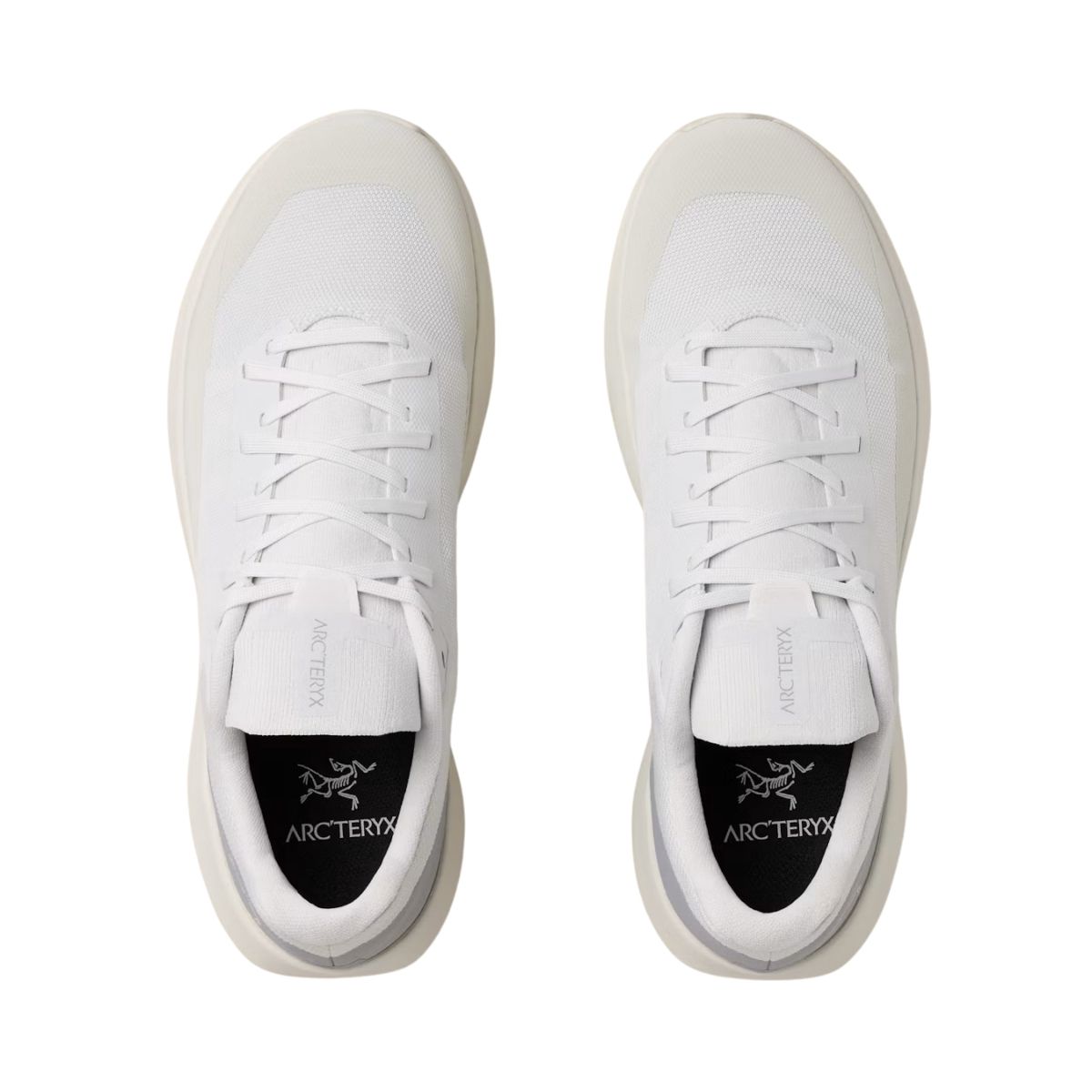 ArcTeryx Mens Norvan LD 4